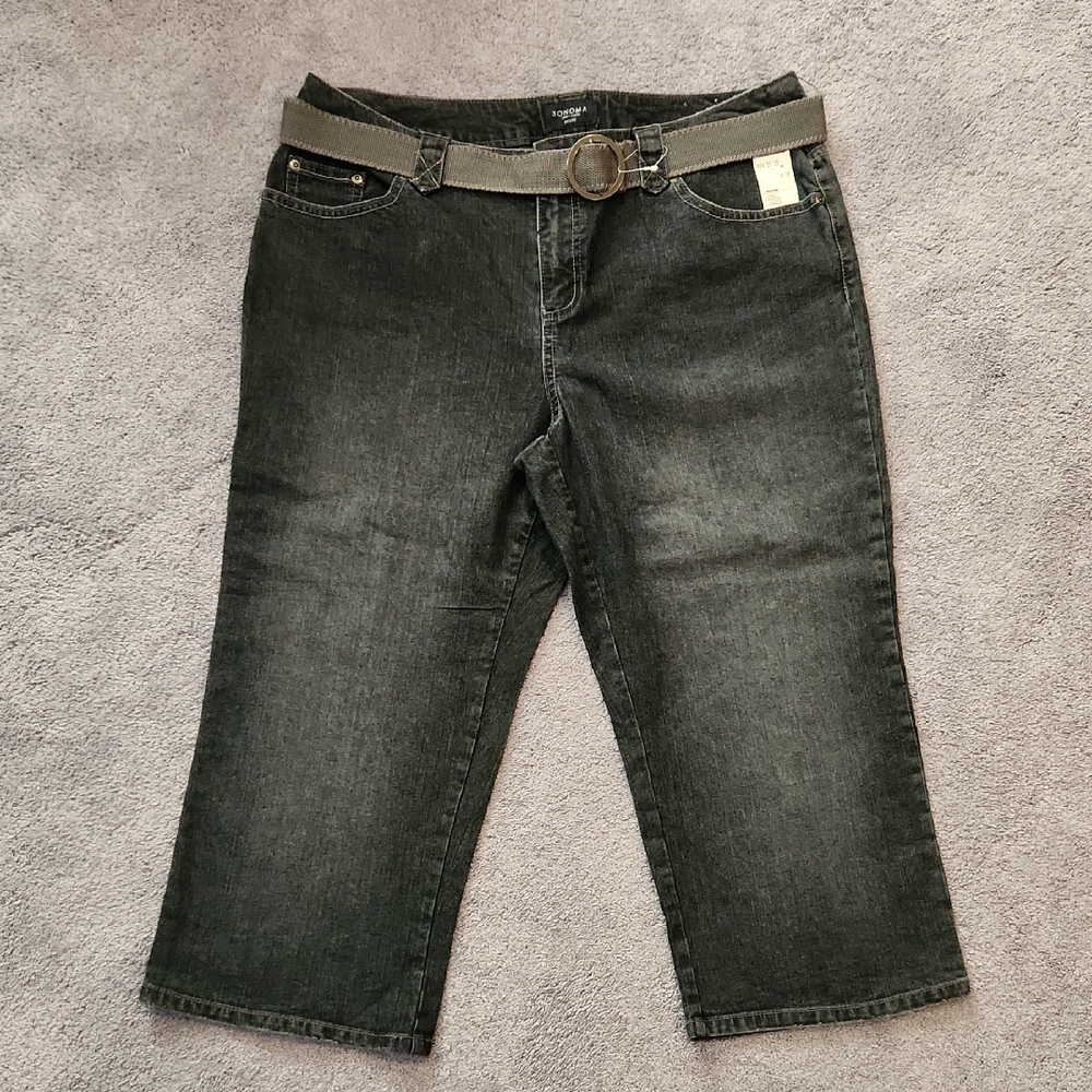 New Misses Size 14 Petite Capris Pants